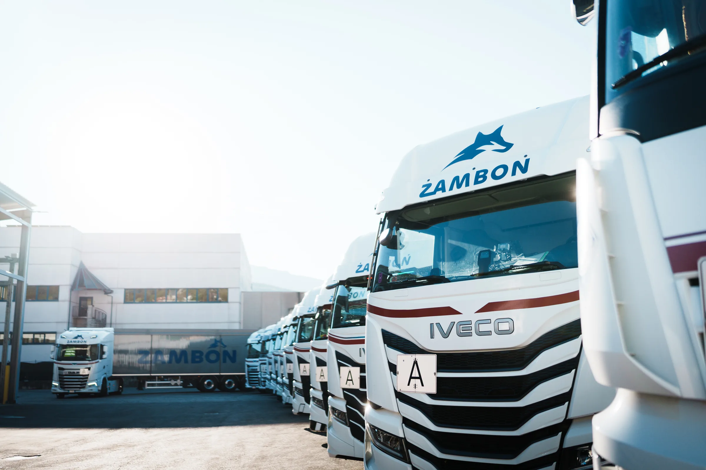 IVECO-Zugmaschine der Zambon-Flotte